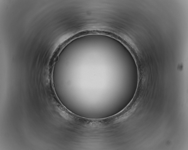 X0000091220974200708161653