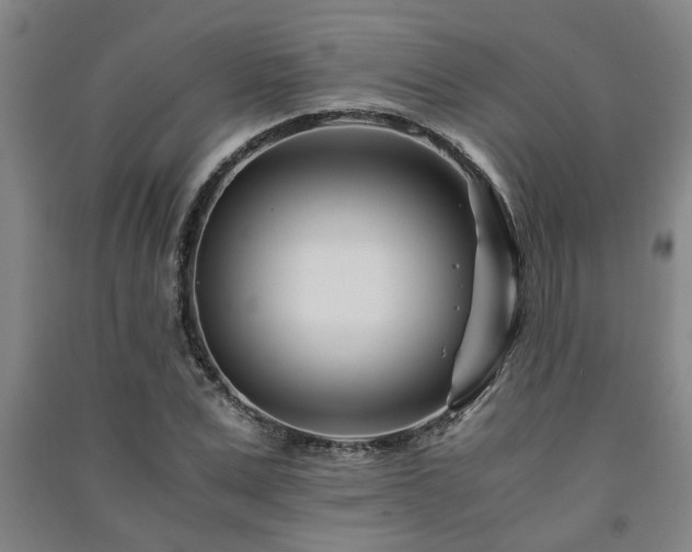 X0000091220975200708161653