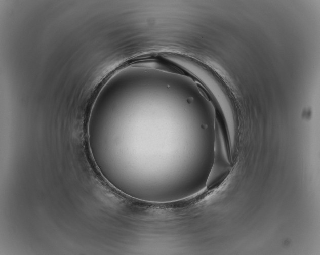 X0000091220977200708161653