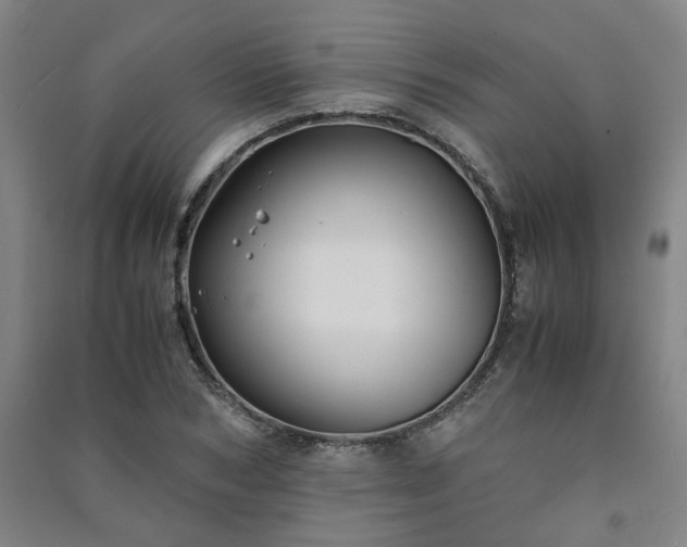 X0000091220978200708161653