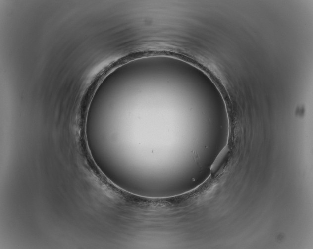 X0000091220979200708161653