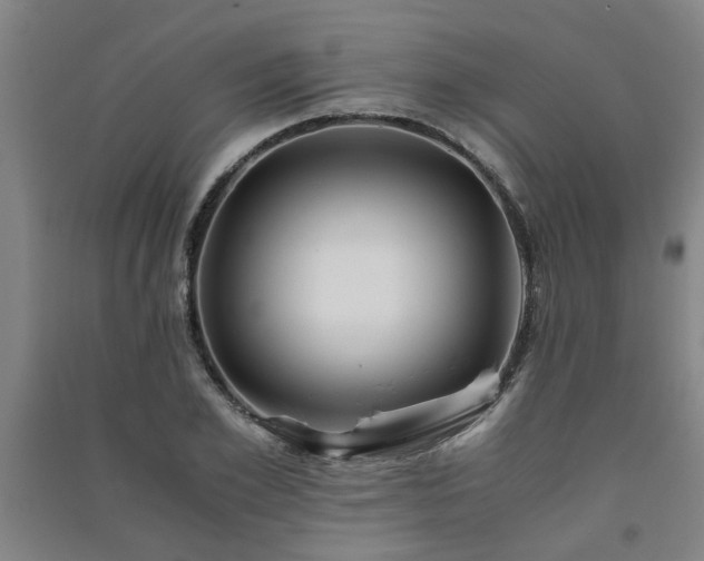 X0000091220981200708161653