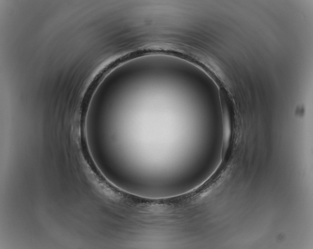 X0000091220984200708161653