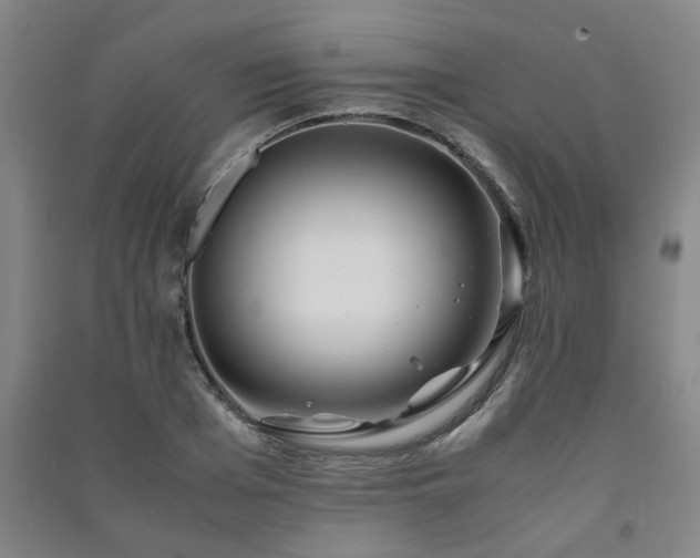 X0000091220985200708161653