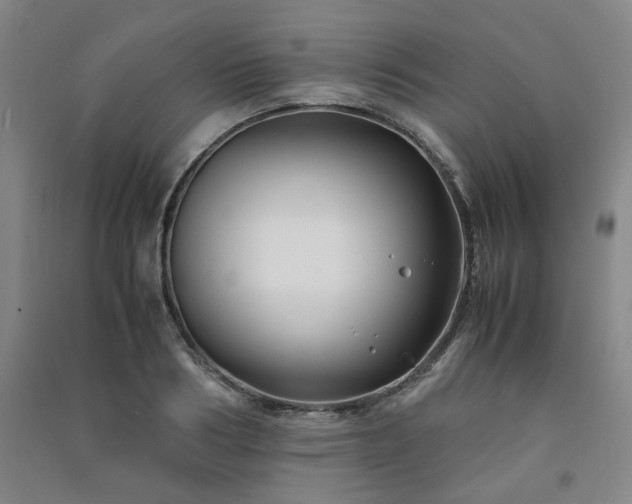 X0000091220986200708161653