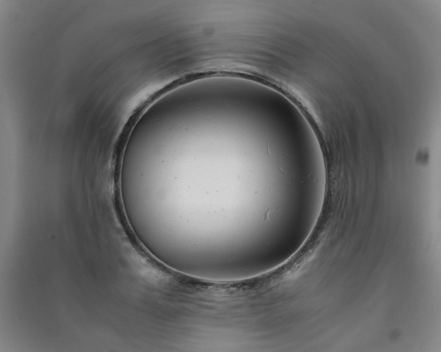 X0000091220987200708161653