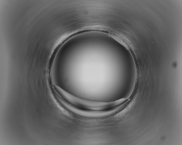 X0000091220989200708161653