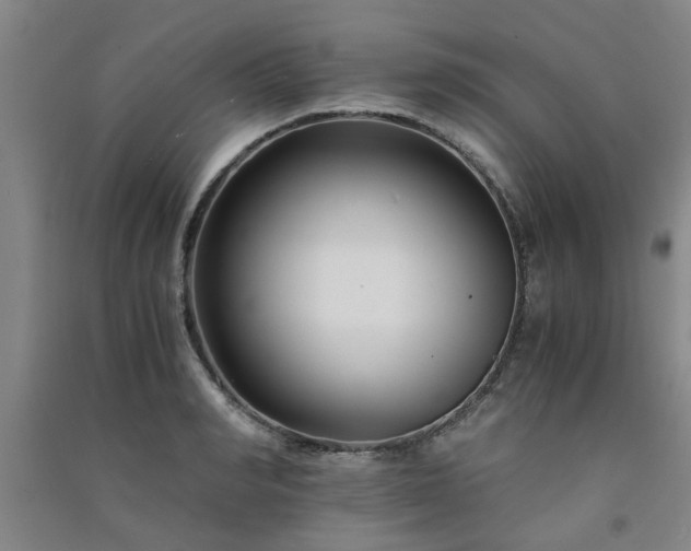 X0000091220990200708161653