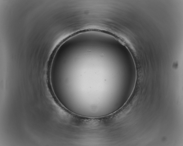 X0000091220991200708161653