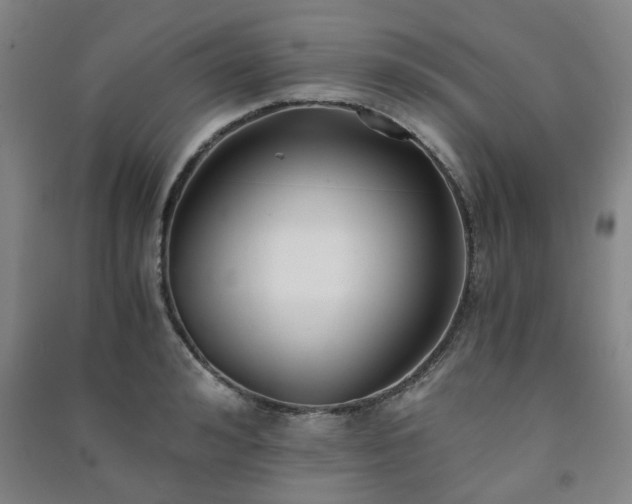 X0000091220992200708161653