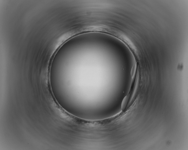 X0000091220994200708161653