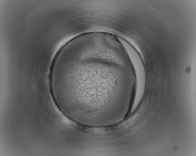 X0000091220995200708161653