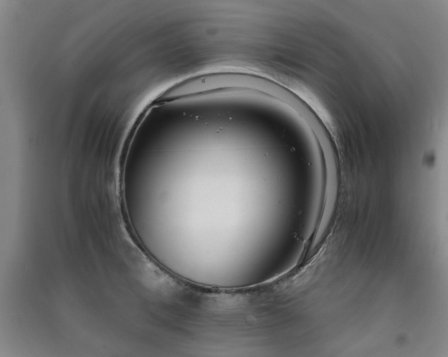 X0000091220996200708161653