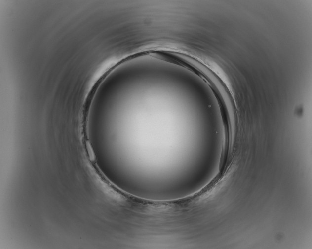 X0000091220997200708161653