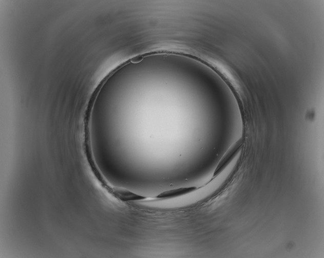 X0000091220999200708161653