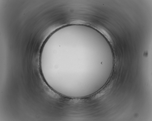 X0000091221000200708161653