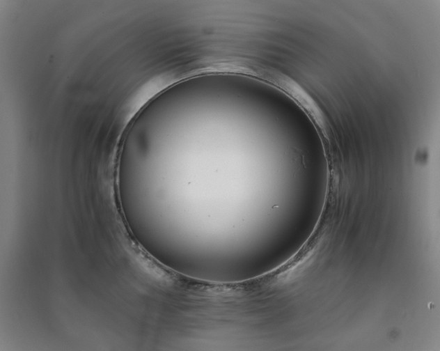 X0000091221002200708161653