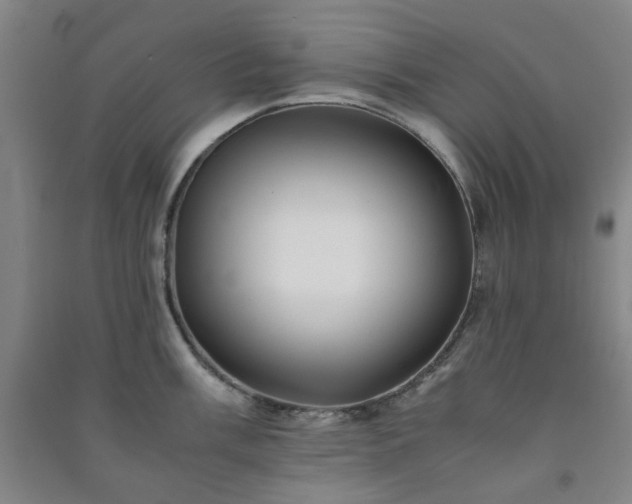 X0000091221003200708161653