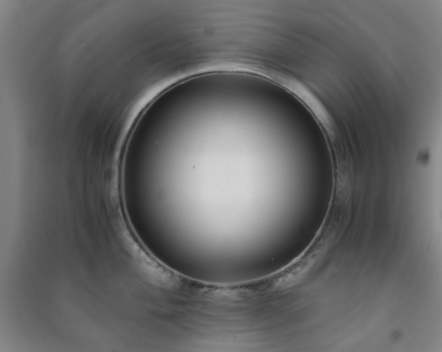 X0000091221004200708161653