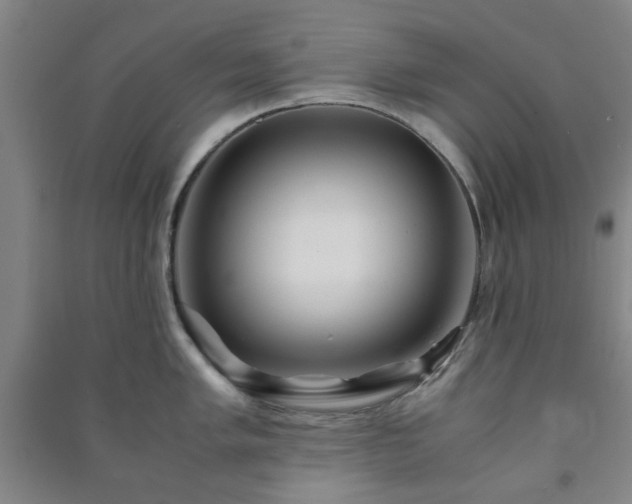 X0000091221005200708161653