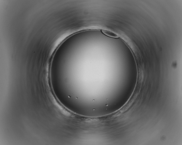 X0000091221006200708161653