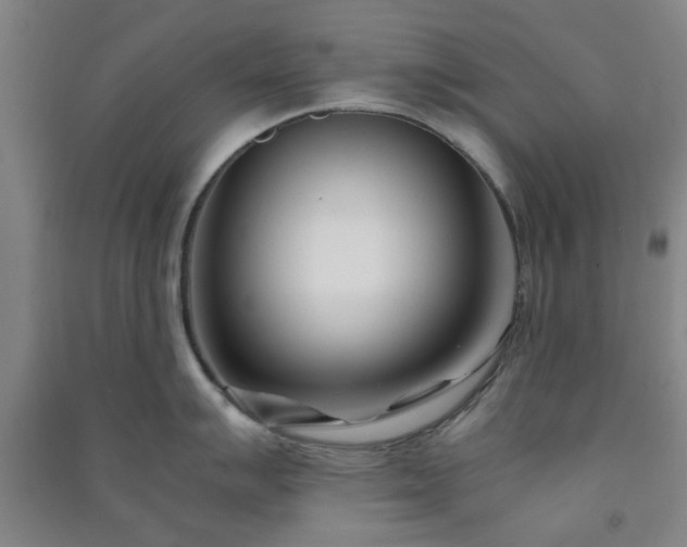 X0000091221007200708161653