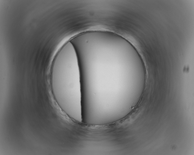 X0000091221008200708161653