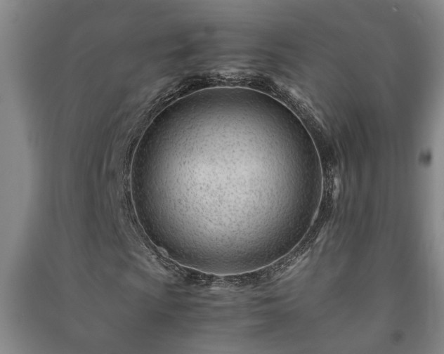 X0000091221009200708161652