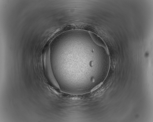 X0000091221010200708161652