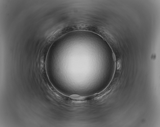 X0000091221011200708161652