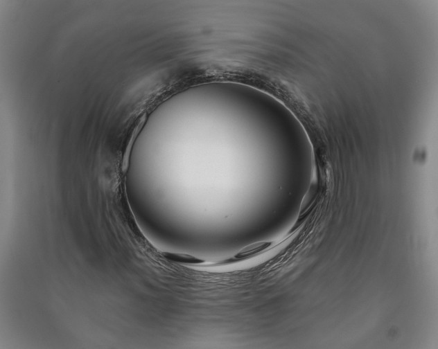 X0000091221012200708161652