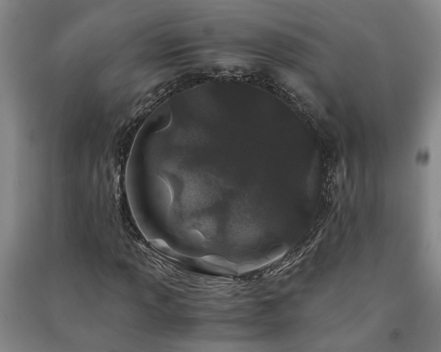 X0000091221013200708161652