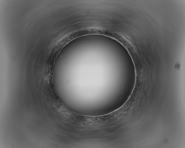 X0000091221015200708161652