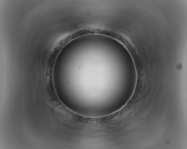 X0000091221016200708161652