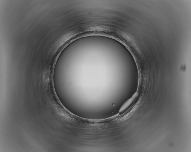 X0000091221017200708161652