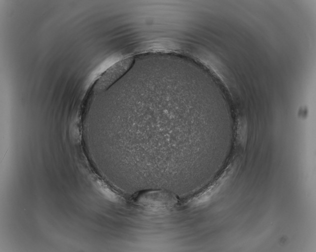 X0000091221018200708161652