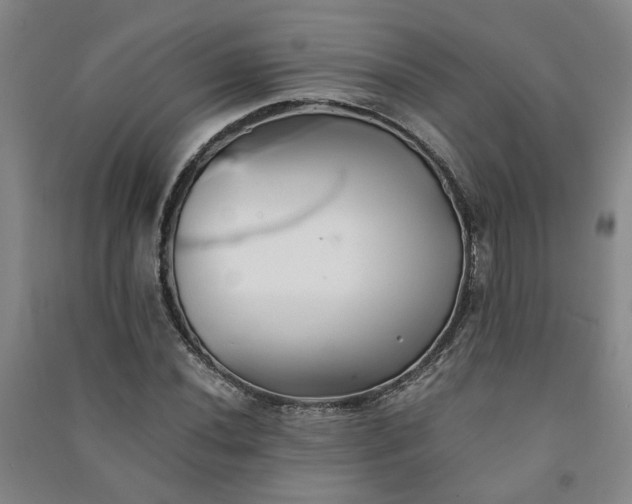 X0000091221020200708161652