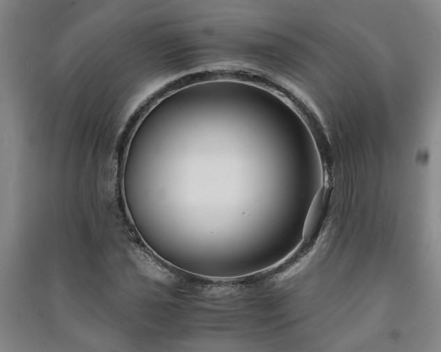 X0000091221021200708161652