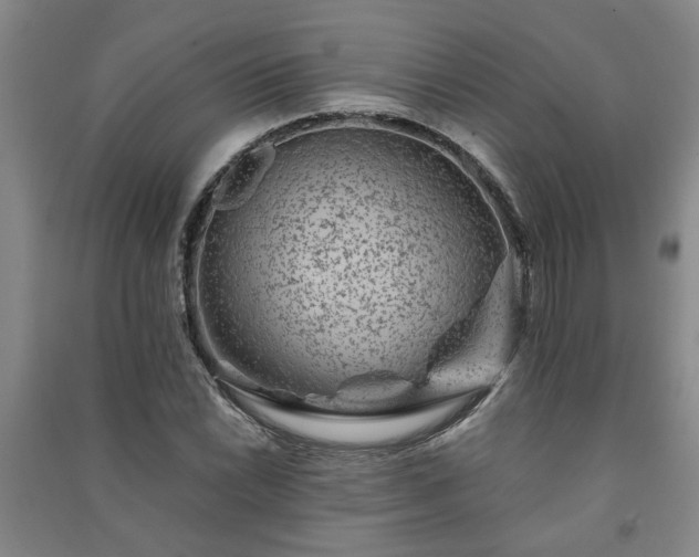 X0000091221022200708161652