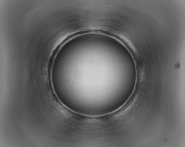 X0000091221023200708161652