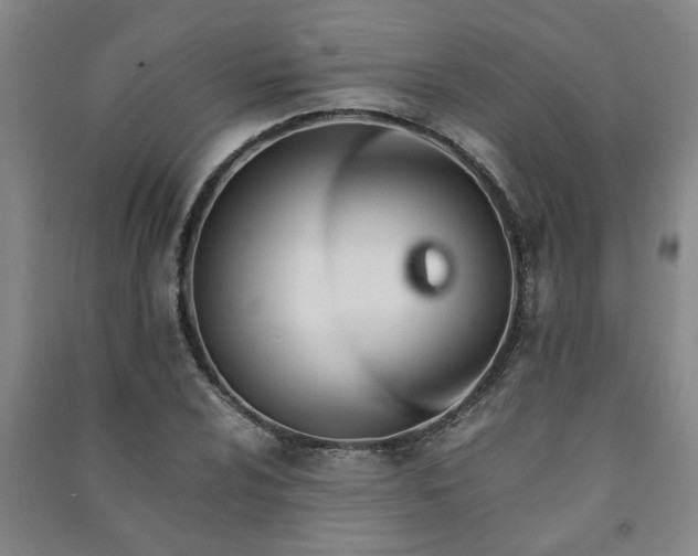 X0000091221024200708161652