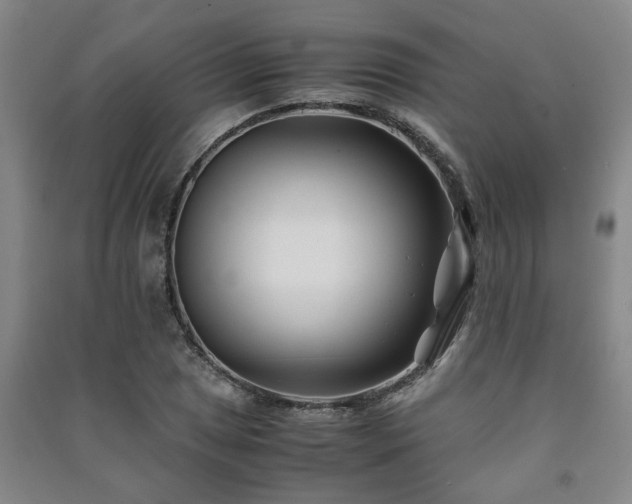 X0000091221025200708161652