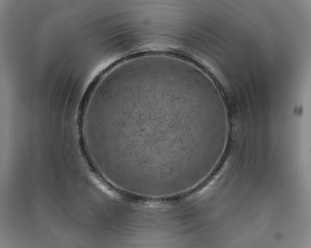 X0000091221026200708161652