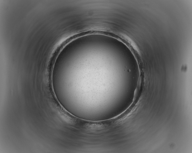 X0000091221027200708161652