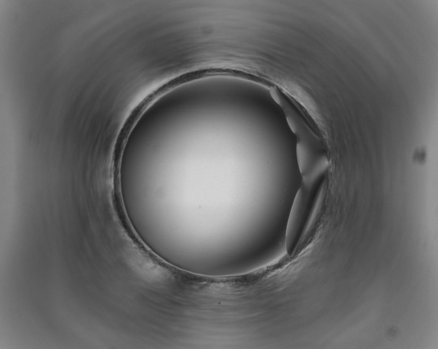 X0000091221028200708161652