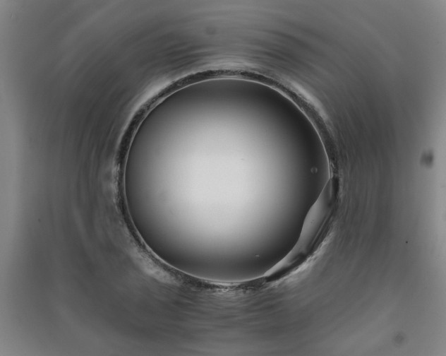 X0000091221029200708161652