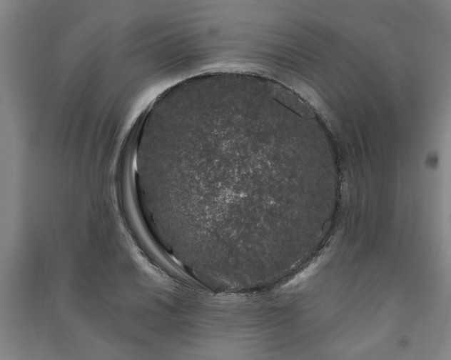 X0000091221030200708161652