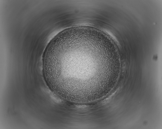 X0000091221031200708161652