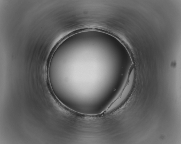 X0000091221032200708161652