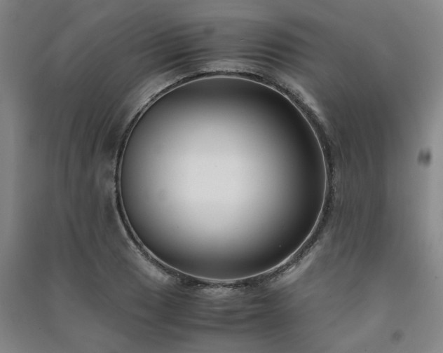 X0000091221033200708161652